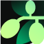 OLV Logo