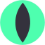 BSX Logo