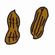 NUTS Logo