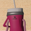 STAN Logo