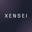 XSEI Logo