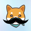 STASH Logo