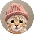 CATWIF Logo