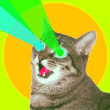 BTCAT Logo