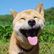 MARU Logo