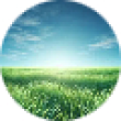 GRASS Logo