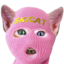 SKICAT Logo