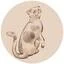 GATTO Logo