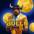 BULLS Logo