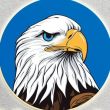 HAWK Logo