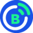 BIG Logo