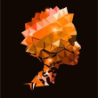 DVO Logo