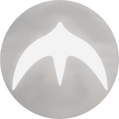 YZY Logo