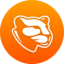 VLR Logo