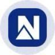 NEMON Logo