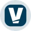 VSTON Logo