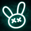 HOOLI Logo