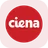 RCIEN Logo