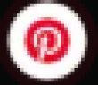 RPINS Logo