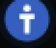 RINTU Logo