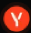 RNBIS Logo