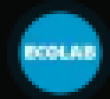 RECL Logo