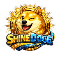 SDG Logo