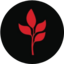 MARSMI Logo