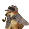 PIPEDOG Logo