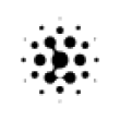 ZHIPUG Logo