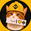 BNBCAT Logo