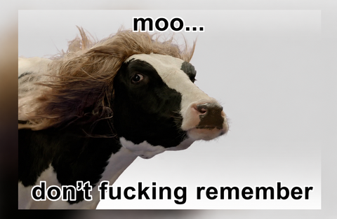 MOO Logo