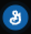RGIS Logo