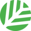 CNPY Logo