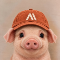 ANTHROPIG Logo