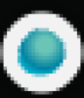 RCOO Logo