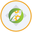 BNCB Logo