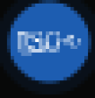 RRYAN Logo