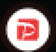 RPAYP Logo