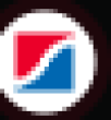 RHSIC Logo