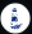 RINSW Logo