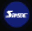 RSIM Logo