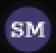 RSM Logo