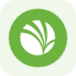 RINGR Logo