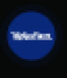RTFX Logo