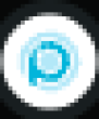 RPLSE Logo