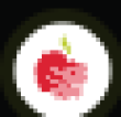 RAPLE Logo