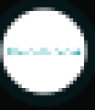 RAVDE Logo