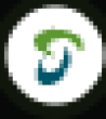 RSDS Logo