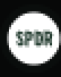 RSPYG Logo